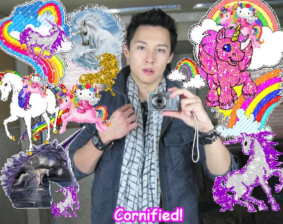 The sunny cute happy best picture