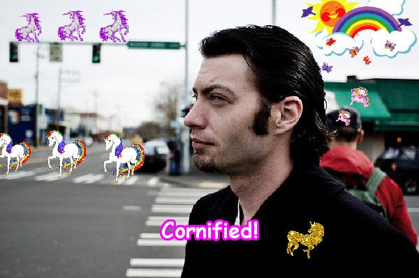 The best sunny cool merry great composition