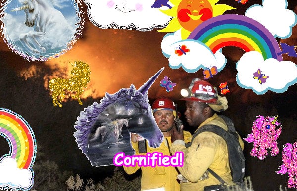 The most best sunny sunny best hug