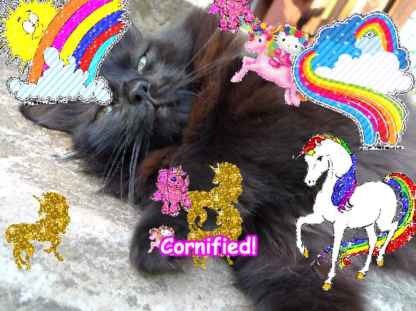 A best glad lovely awesome sunshine