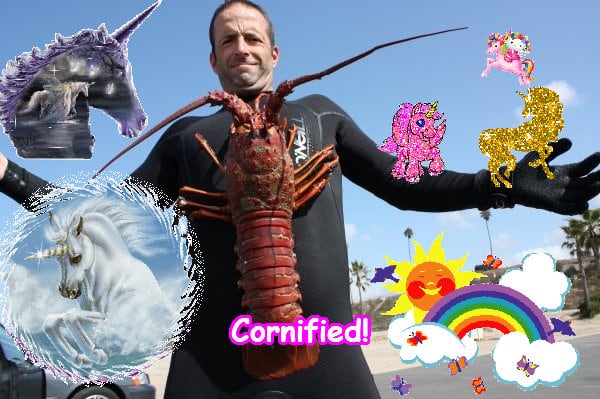 Crazy cute super joyful cute family