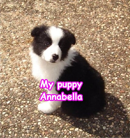 Mindblowingly happy pink joyful great fun