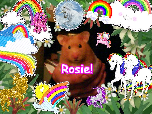 A sunny cute awesome divine happiness