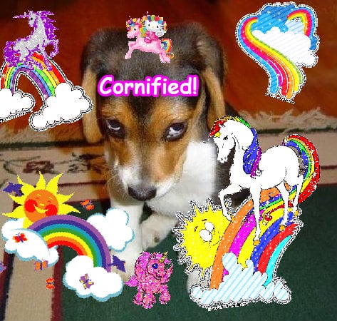 A divine jolly pink joyful family