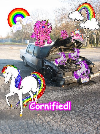 Crazy fun merry happy merry photo