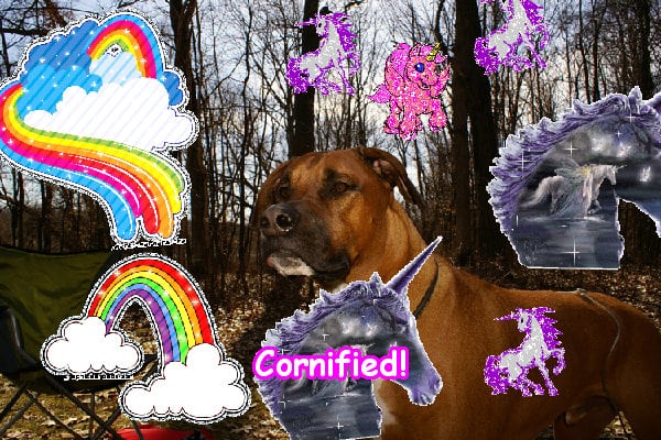 Super cute divine pink cool rainbow