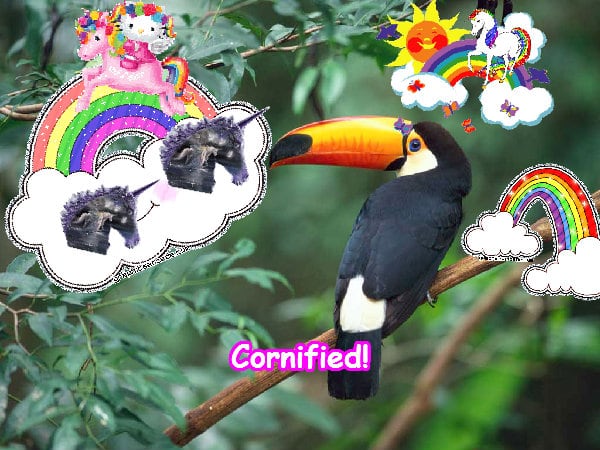 A lovely jolly divine cute friend