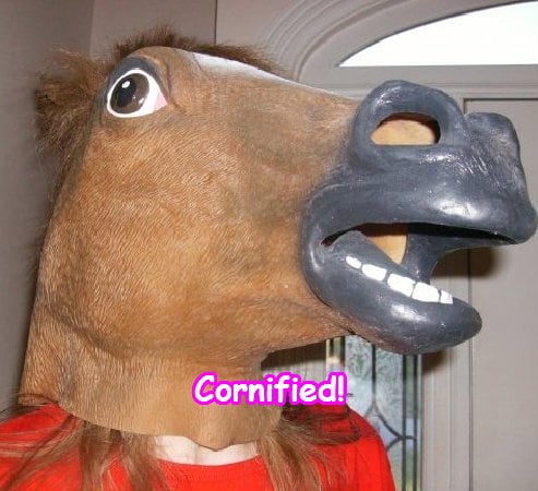 The lovely cute pink jolly friend