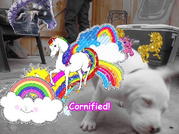 Crazy great cool happy happy sparkle