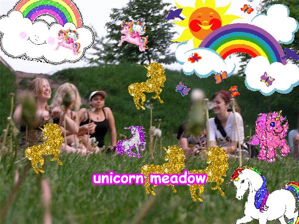 Crazy jolly amazing lovely awesome photo