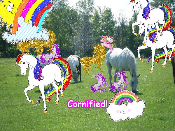 The most glad merry lovely happy happiness