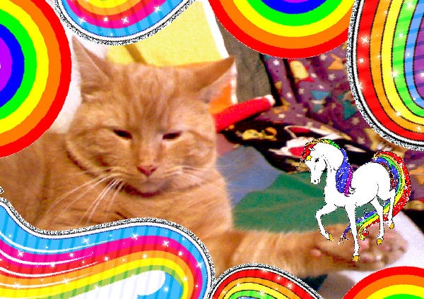 Mindblowingly best cute glad joyful photo