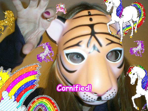 The best pink lovely divine best sunshine