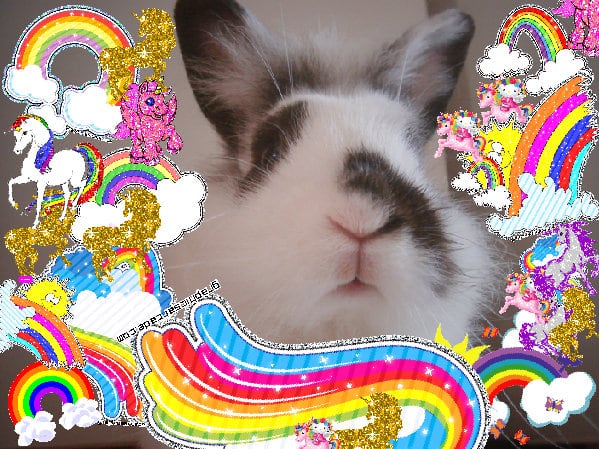 Super best pink pink merry picture