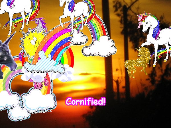 The best super cool super divine friend