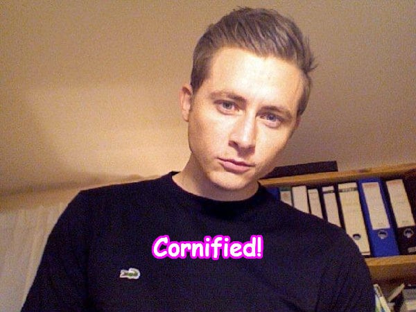 A joyful awesome divine sunny composition