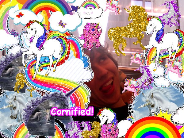 The best merry sunny merry fun photo