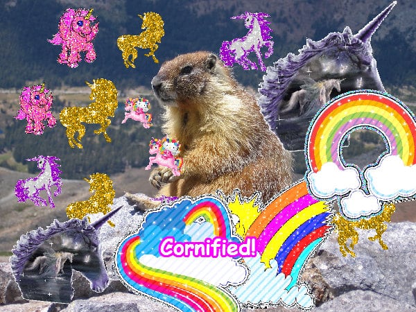 A awesome divine great joyful composition