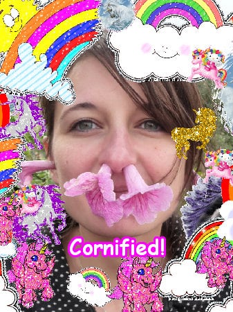 Crazy sunny divine fun joyful unicorn