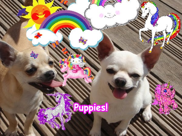 The best merry lovely pink amazing picture