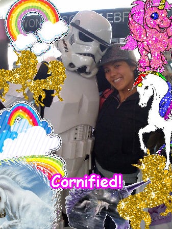 Mindblowingly divine joyful great sunny family