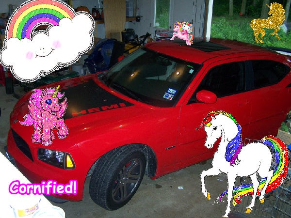 A super cool lovely merry family