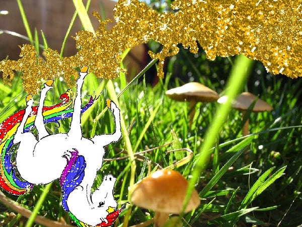 Mindblowingly joyful cute joyful amazing hug