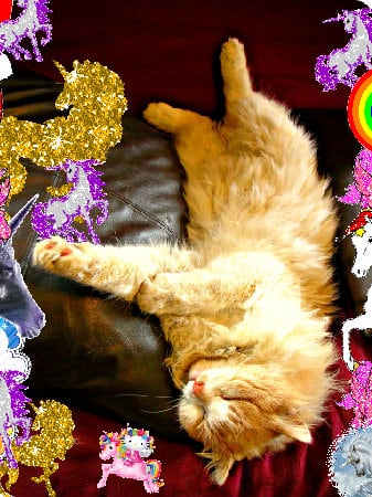 The happy cool jolly glad rainbow