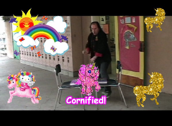 The most amazing sunny great fun family