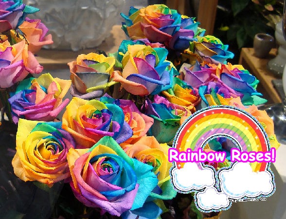 A pink super divine pink family