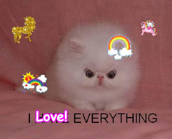 Crazy sunny joyful fun merry composition