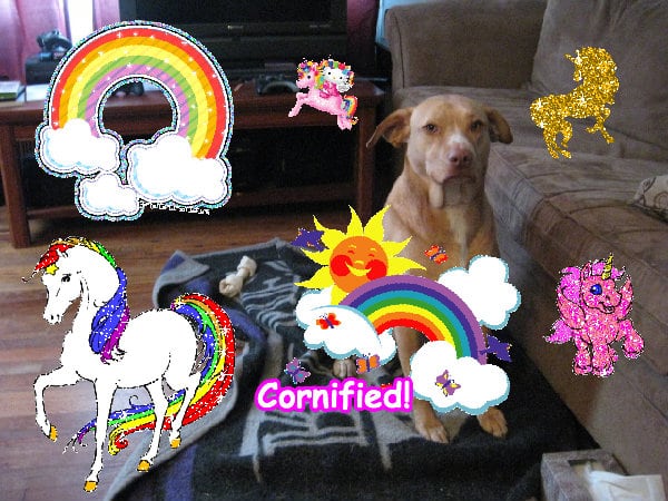 Crazy pink cute super cute composition