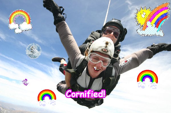 Mindblowingly merry lovely glad happy composition