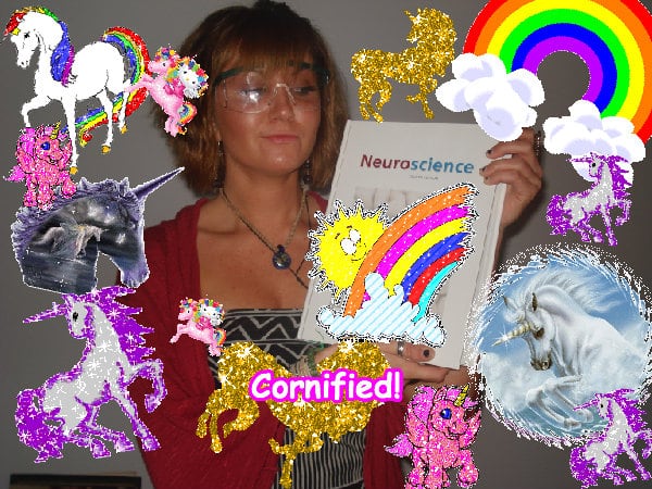 The most jolly glad amazing merry sunshine