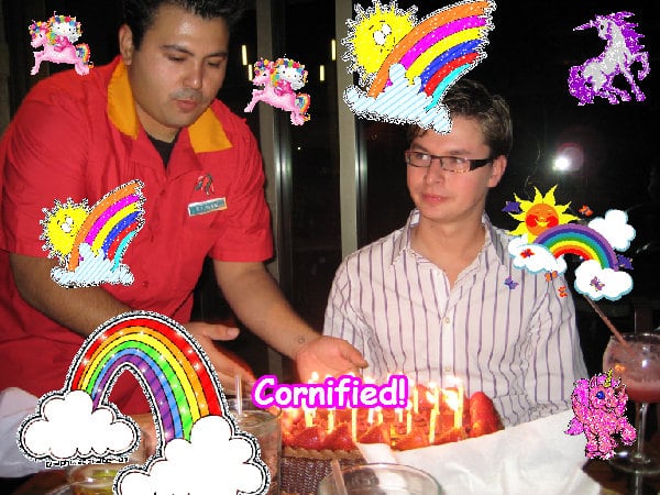 The sunny super fun lovely happiness