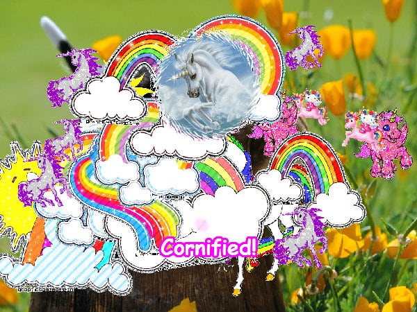 The best pink divine amazing pink picture