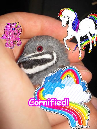 Super sunny cool cute best sparkle