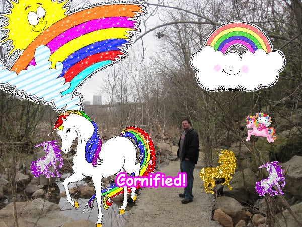 Mindblowingly sunny awesome awesome amazing image