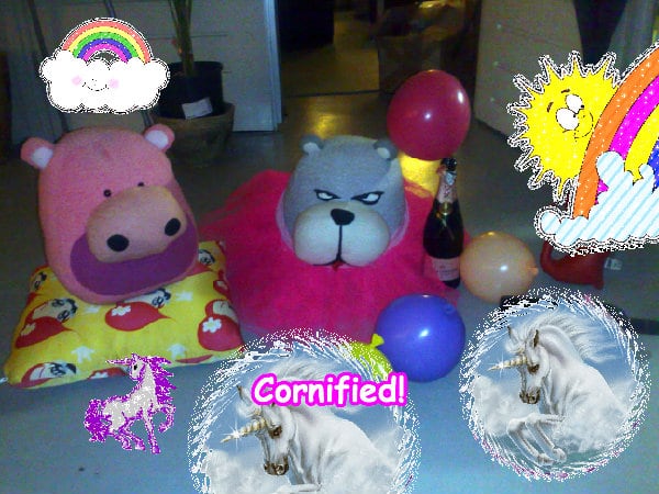 The fun glad cute lovely sunshine