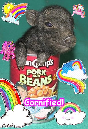 Super great happy fun awesome family