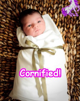 Super awesome cute merry amazing happiness