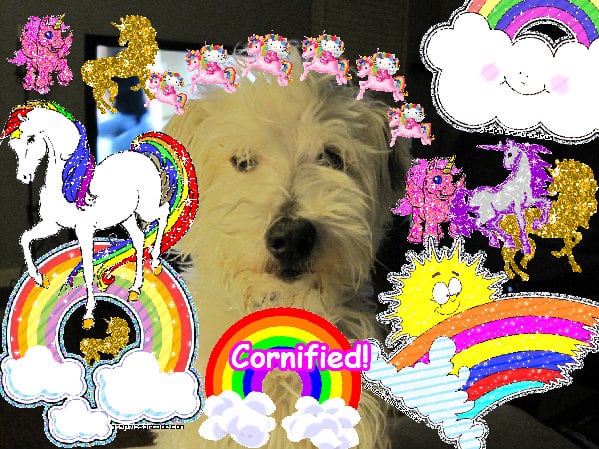 Mindblowingly divine awesome awesome joyful sparkle