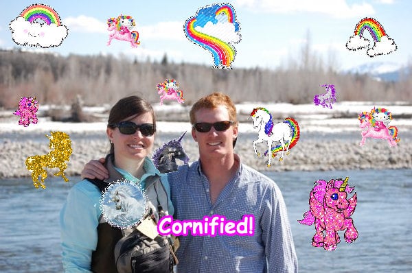 The happy super cool sunny hug