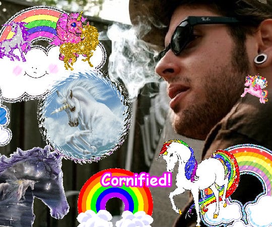 Super sunny fun cute glad picture