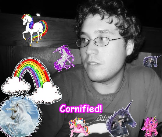 A awesome lovely lovely cute sunshine