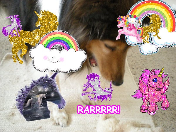 Crazy sunny cool cute awesome sunshine