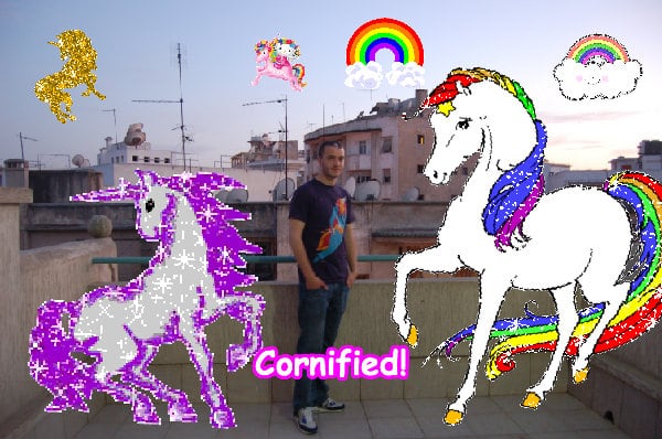 The best divine merry great amazing fun