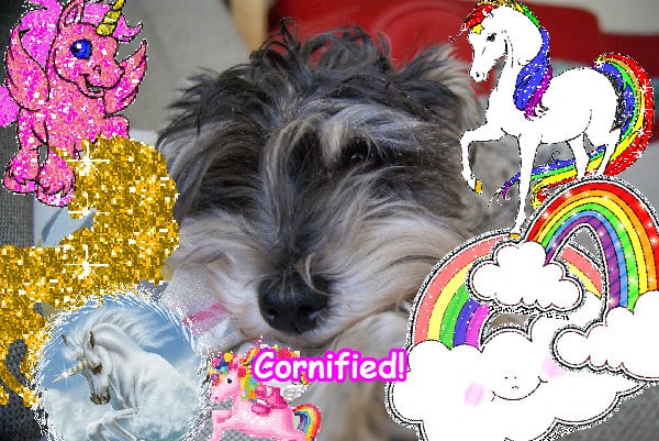 The best awesome pink merry best picture