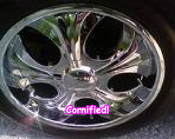 Super cool cool jolly glad picture