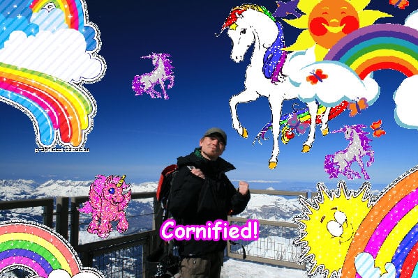 Mindblowingly cute sunny merry amazing photo